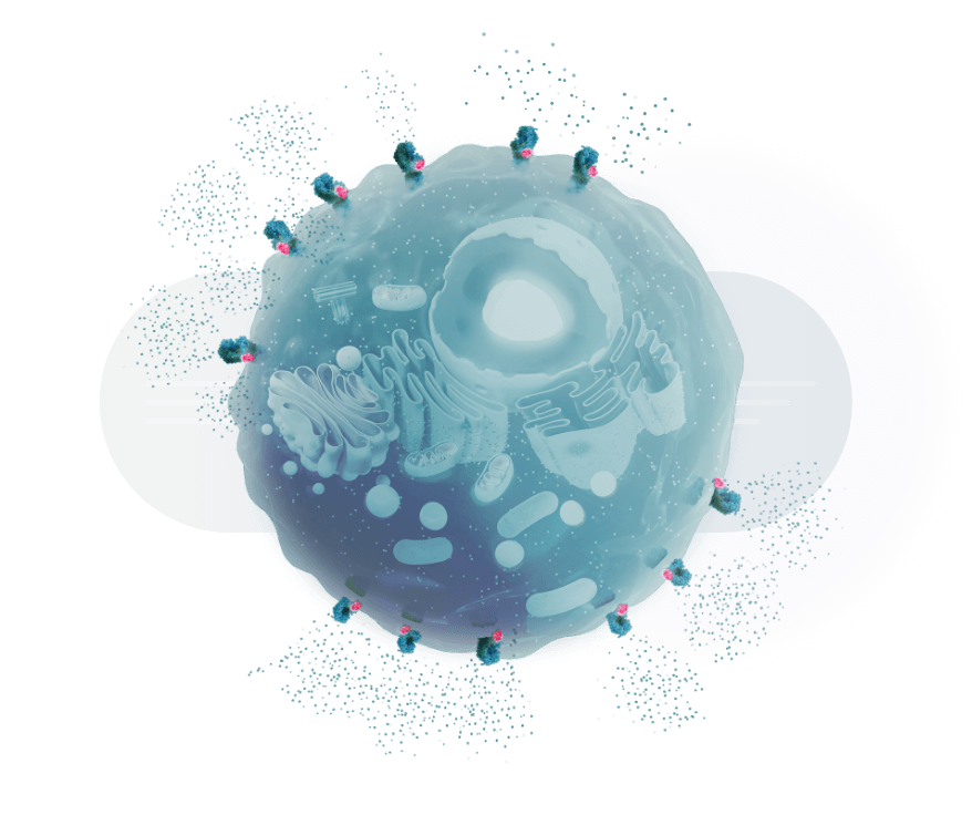 Positive Functional Modulators - about section graphic